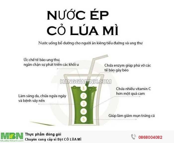 Bột cỏ lúa mì khu vườn của mẹ
