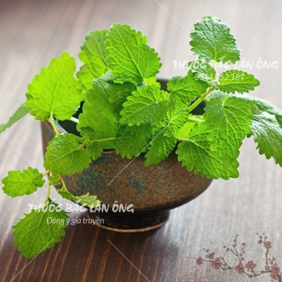 Lá Bạc Hà 1kg nguyên chất sấy lạnh