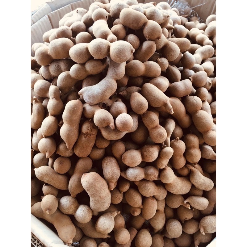 Me Thái sấy khô 500gr