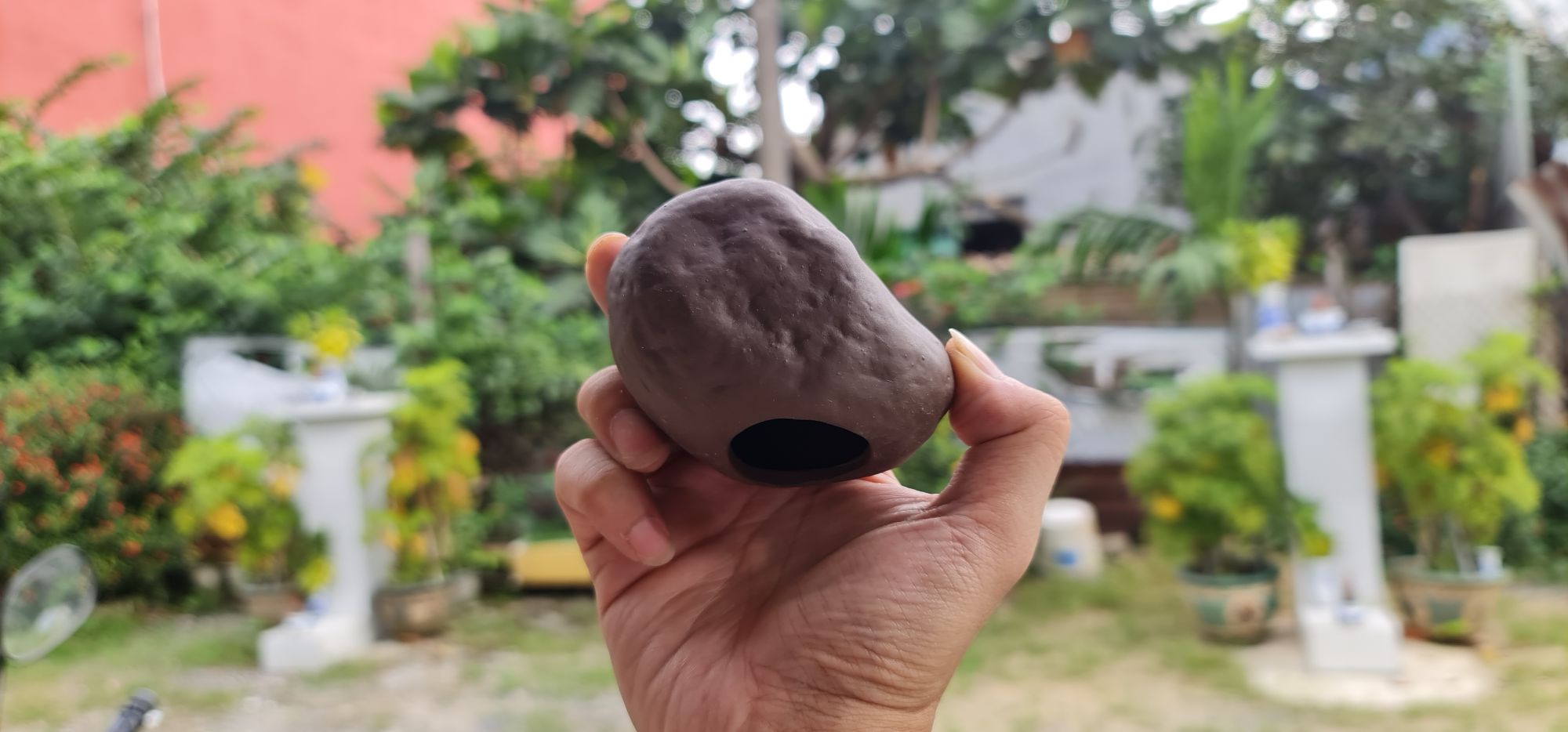 [HCM]hang trú ẩn cho cá tép | trang trí hồ thủy sinh