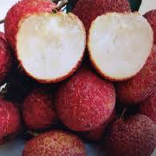 Giống cây vải không hạt