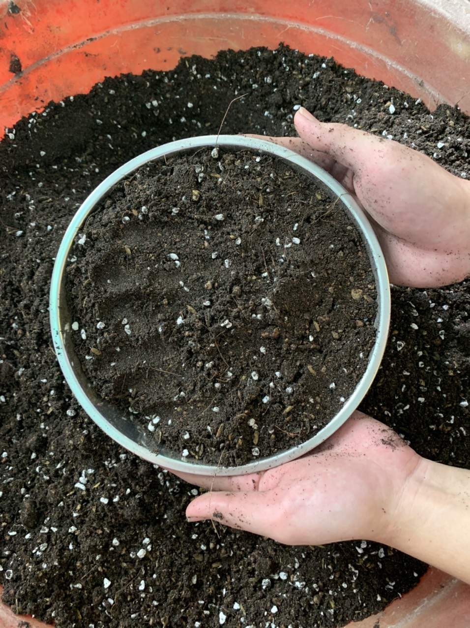 Đất Trồng sen đá xương rồng (túi 500gram)