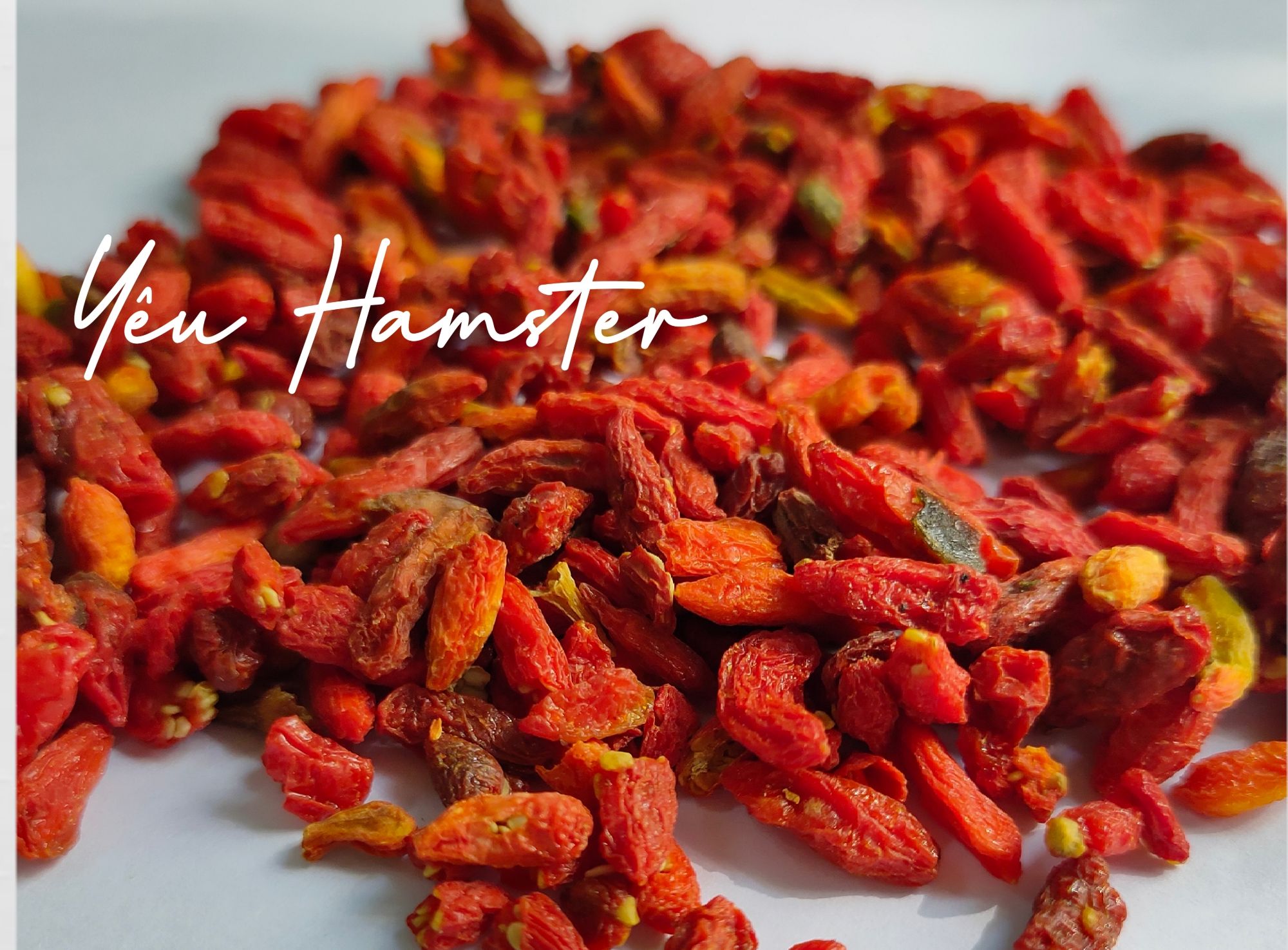 Kỷ tử-Thức ăn dặm cho Hamster,thú cưng (50GR)