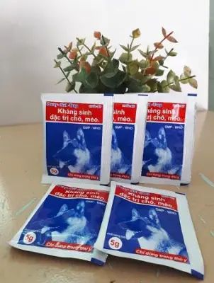 10 gói Kháng sinh đặc trị chó, mèo - Doxy Sul Trep 5g