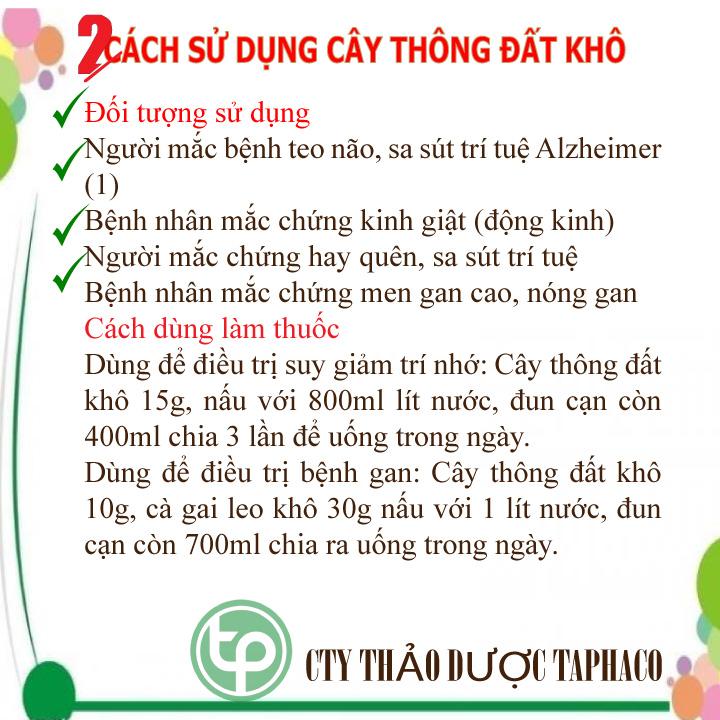 [HOT] Cây thông đất khô 1kg - Hàng sạch thơm chuyên dùng để sắc nước và pha trà - Thảo Dược Tấn Phát