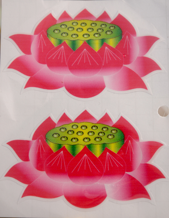 [HCM]Decal hoa sen dán tường dán xe trang trí-Nhiều cỡ