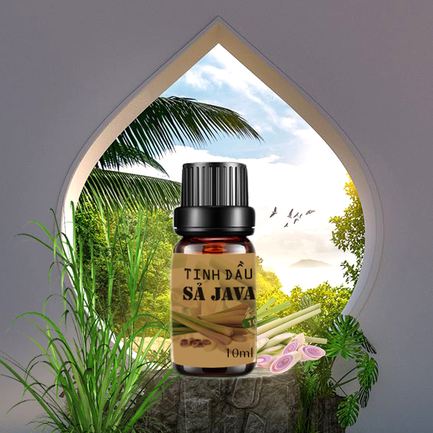Tinh dầu Sả Java nguyên chất 100ml khử mùi, đuổi muỗi và côn trùng