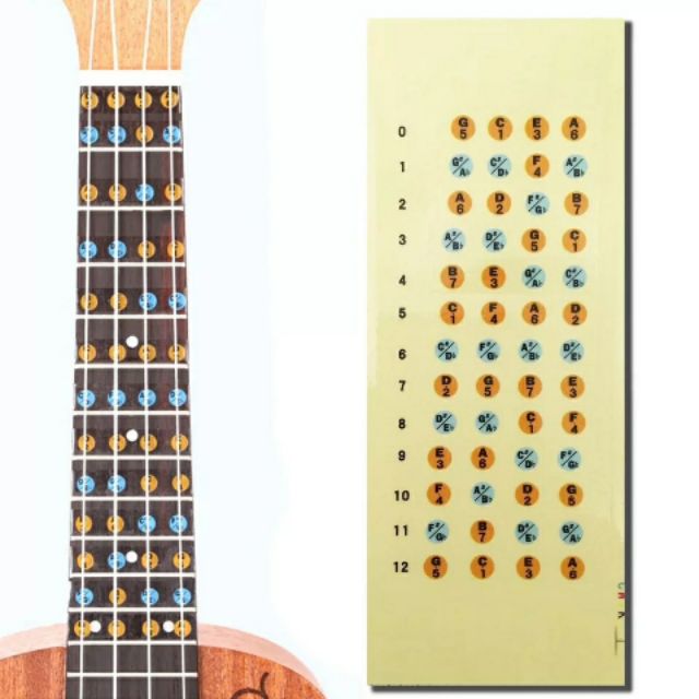 DÁN NỐT UKULELE - STICKER