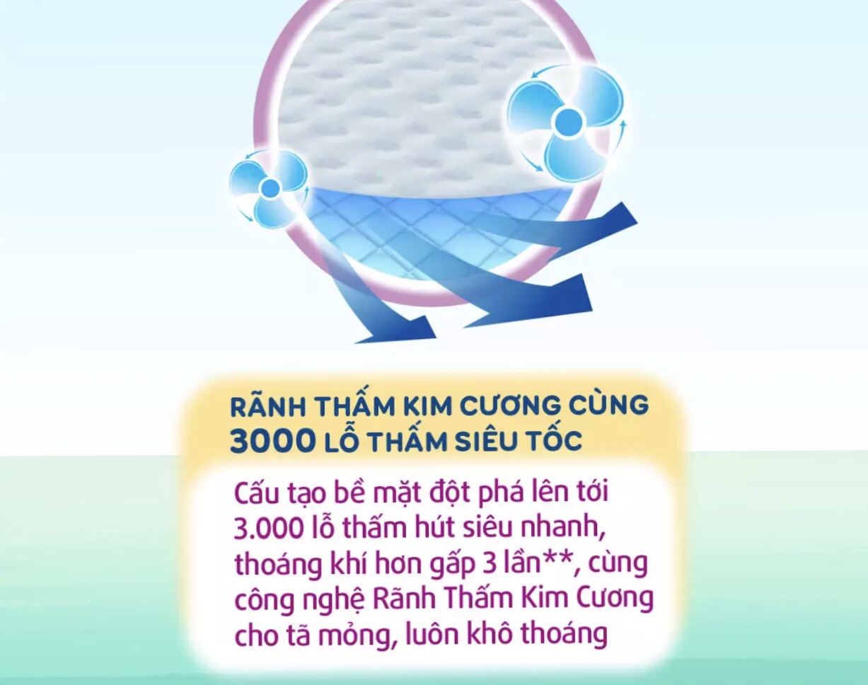 Tả quần bobby mới