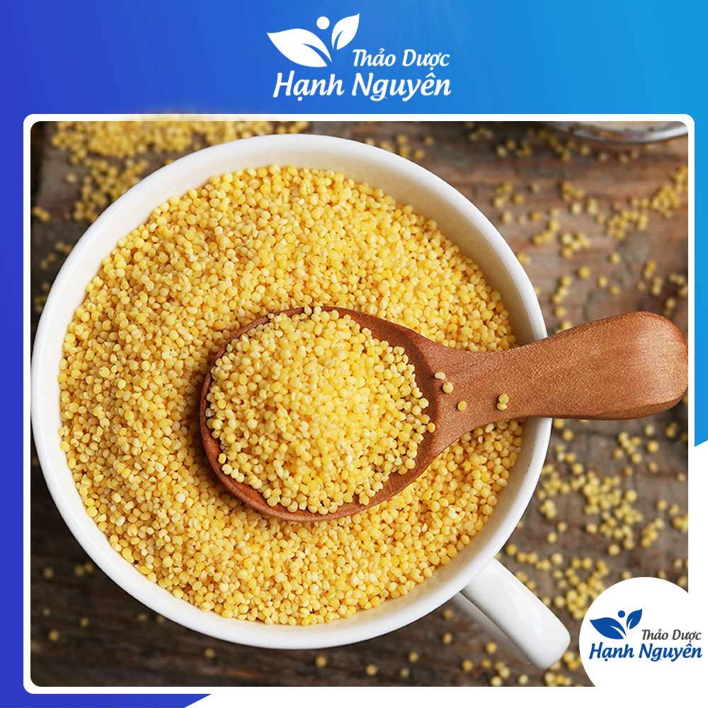 Hạt kê nếp vàng đã tách vỏ 1kg, hạt kê hữu cơ ăn dặm cho bé - Thảo Dược Hạnh Nguyên
