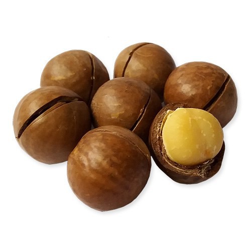 500gr Hạt macca Úc nứt vỏ tự nhiên