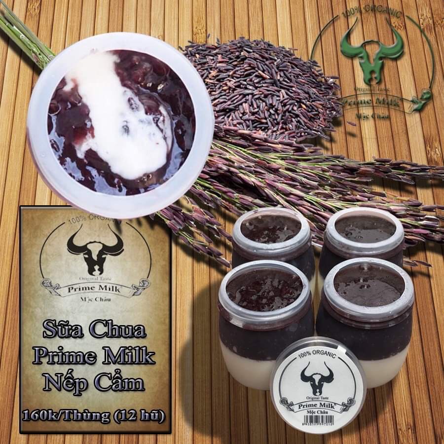 Sữa chua Prime Milk Mộc Châu