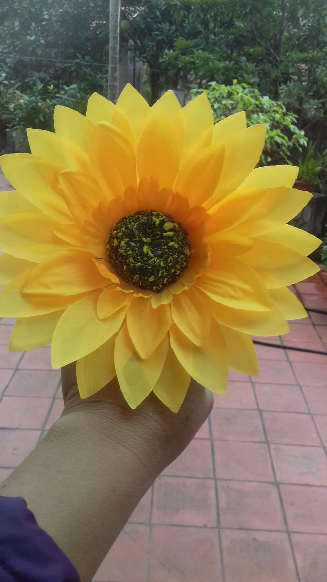 Hoa múa hướng dương lụa có đính thun