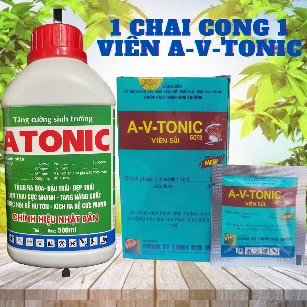 Atonic 500ml Powerful Root Stimulator Buy 1 Get 1 Free A-V-Tonic Effort Pills