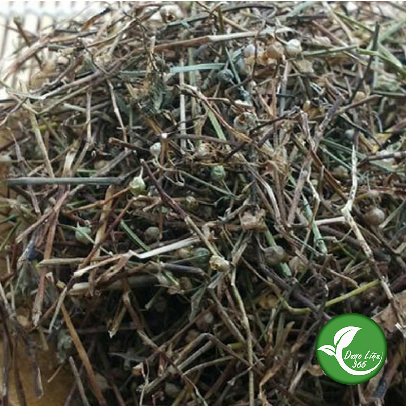 Bạch hoa xà thiệt thảo khô (gói 1kg) - DL075