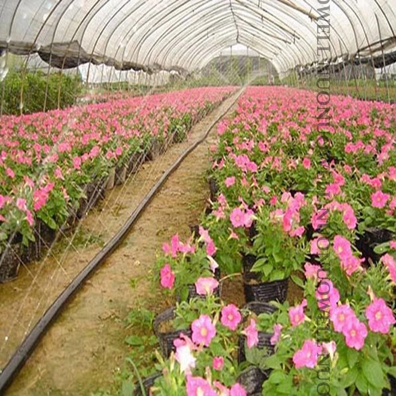 Ống tưới phun mưa phi 34 cuộn 100m - ống 2 lớp
