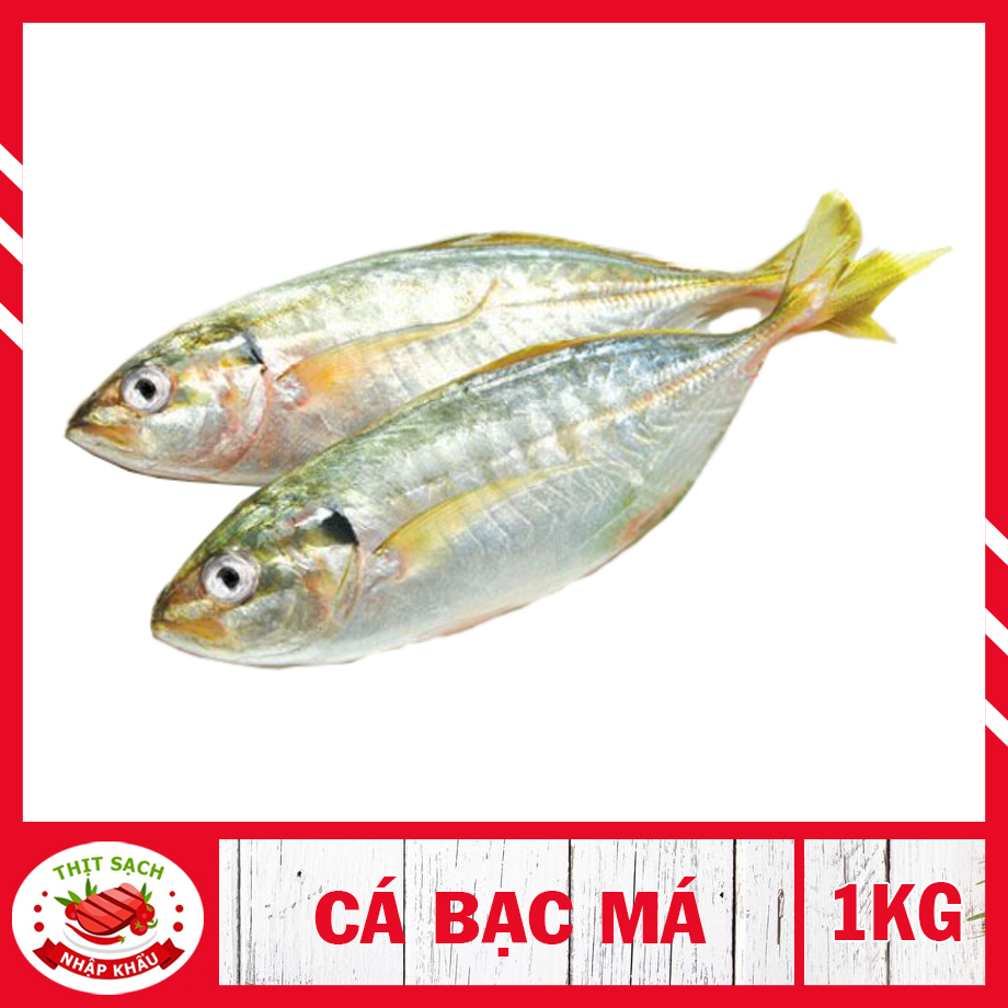 [ HỎA TỐC 2H - HCM ] Cá bạc má - ( 1kg ) Cá bạc má đông lạnh dùng cho nhiều món ngon