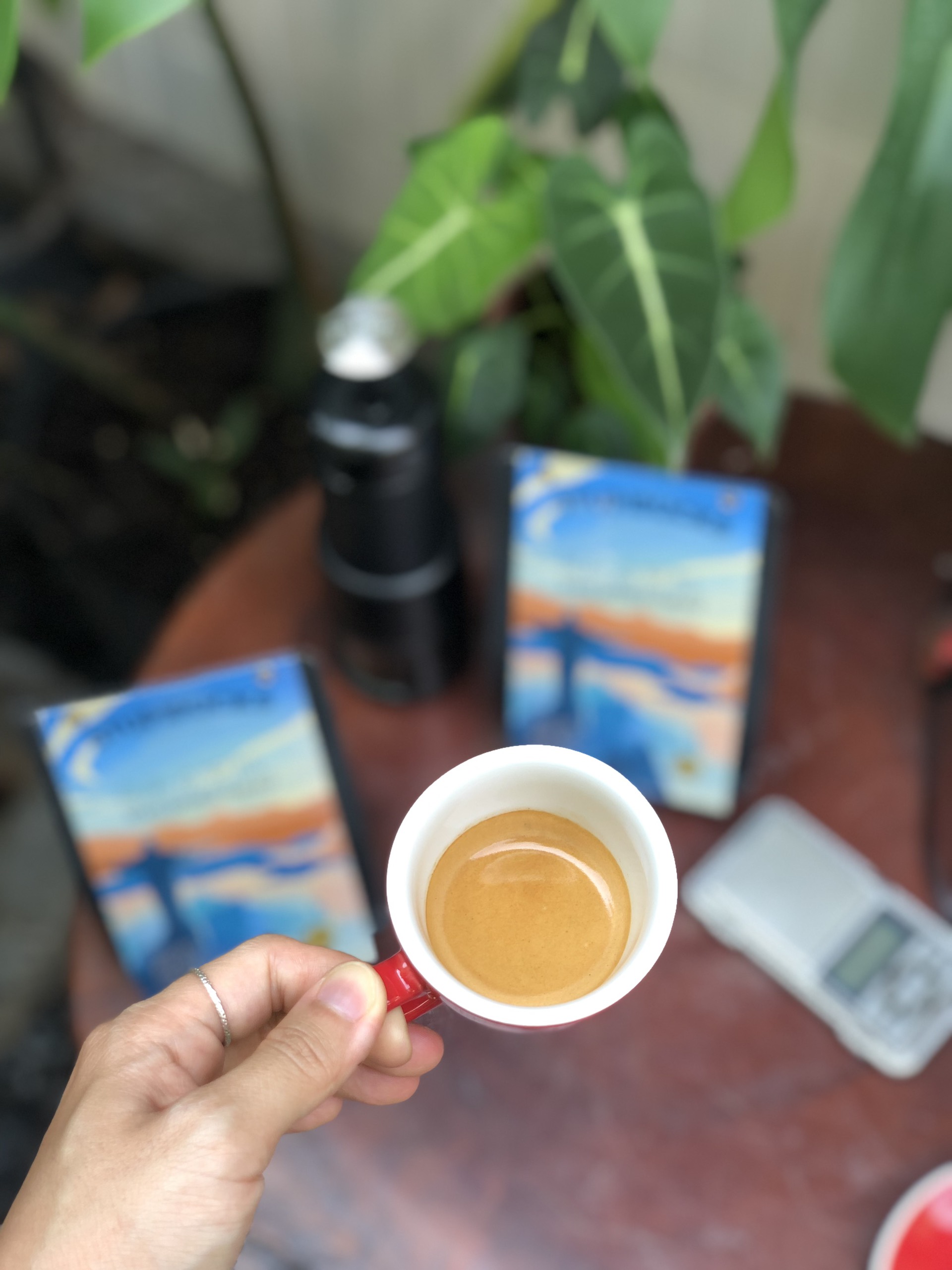 Cà Phê Brazil rang đậm vừa Arabica Espresso Santo Antonio Chocola - Stupiducks Specialty Coffee