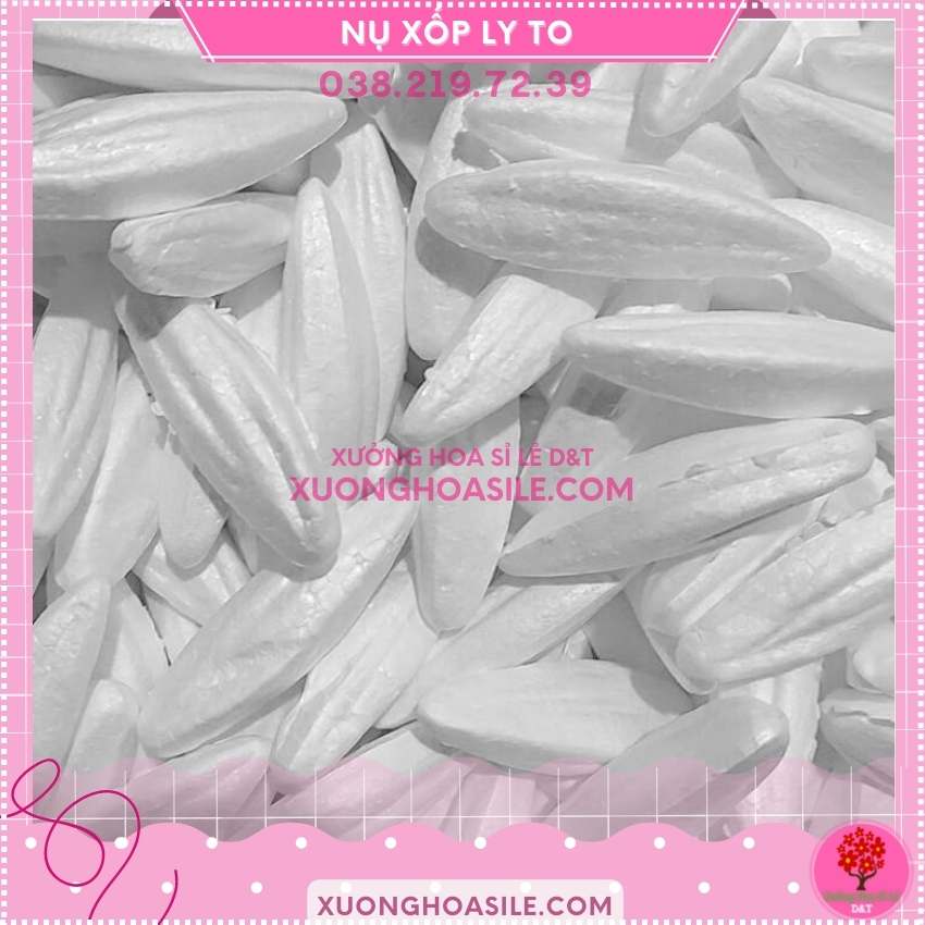 [HCM]NỤ XỐP HOA LY.