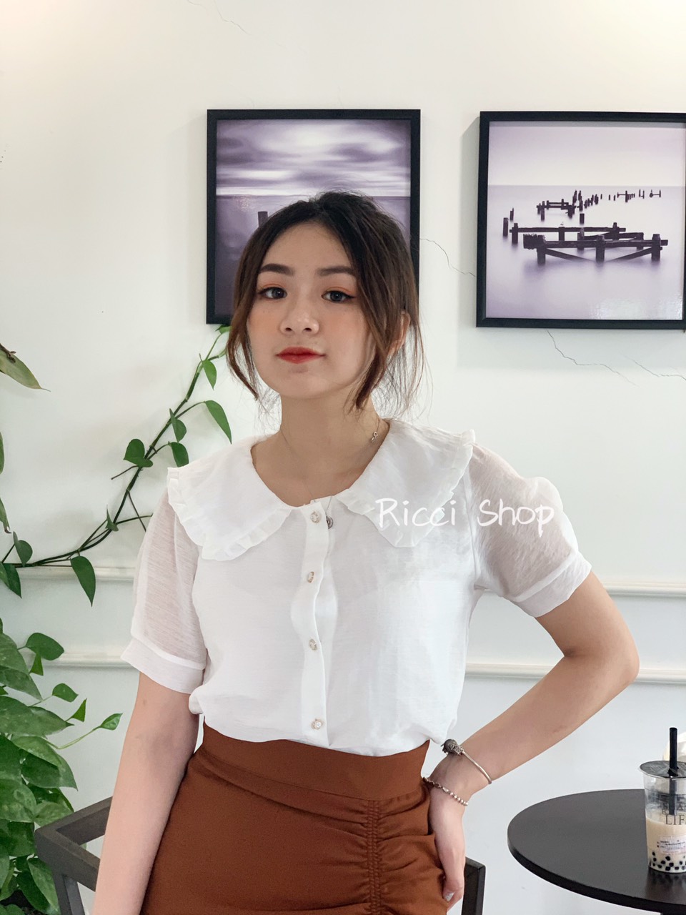 Áo sơ mi cổ viền bèo A200 RICCISHOP