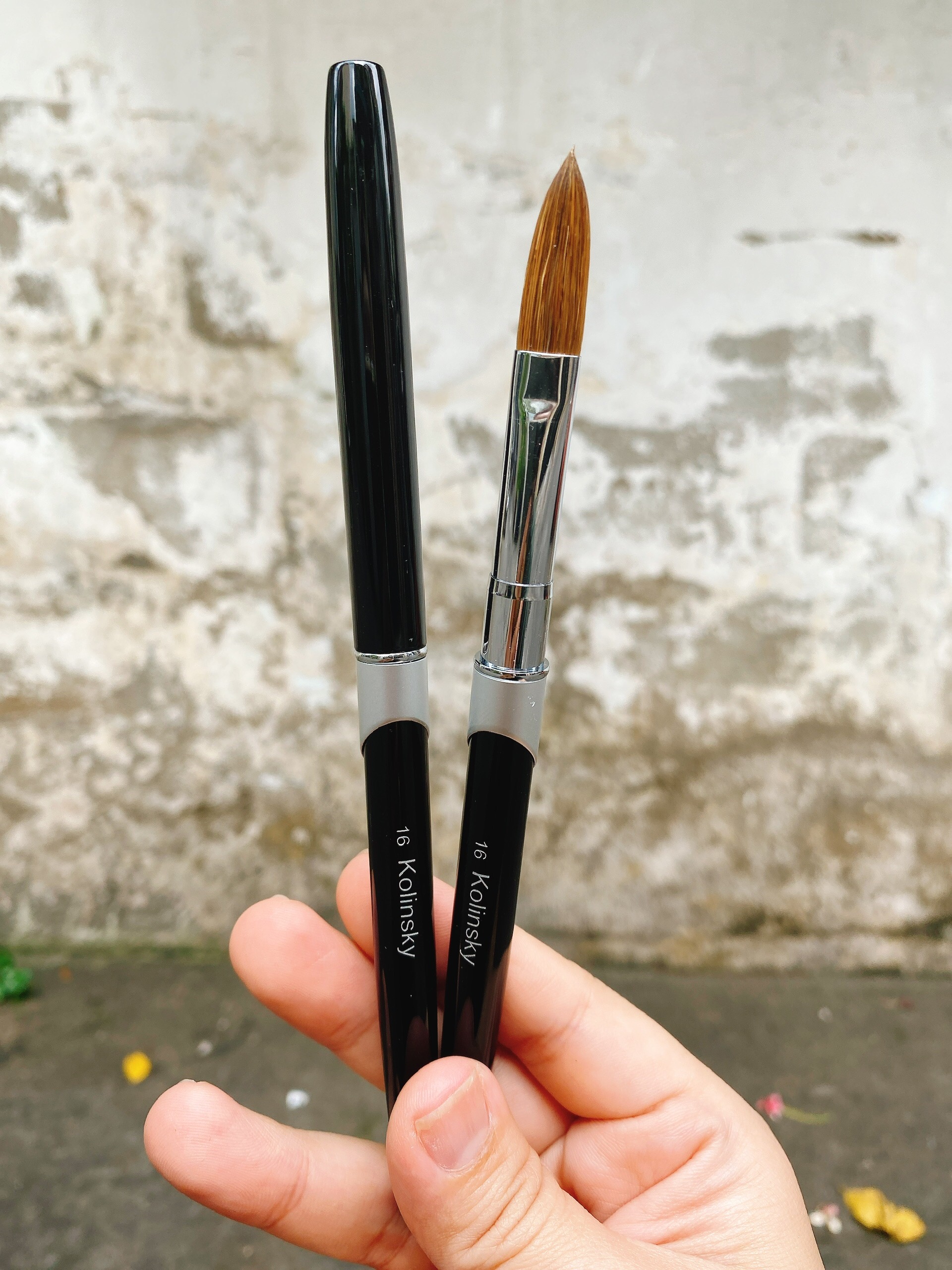 Cọ đắp bột lông chồn số 16 Kolinsky chính hãng cao cấp1145