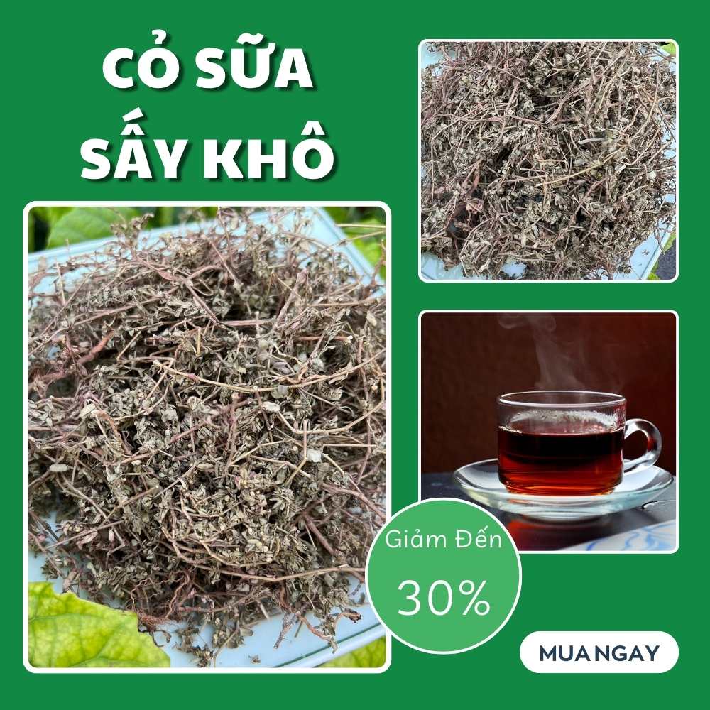 [Hàng mới về] Cỏ sữa lá nhỏ sấy khô 100g - Chuyên dùng để pha trà và sắc nước uống