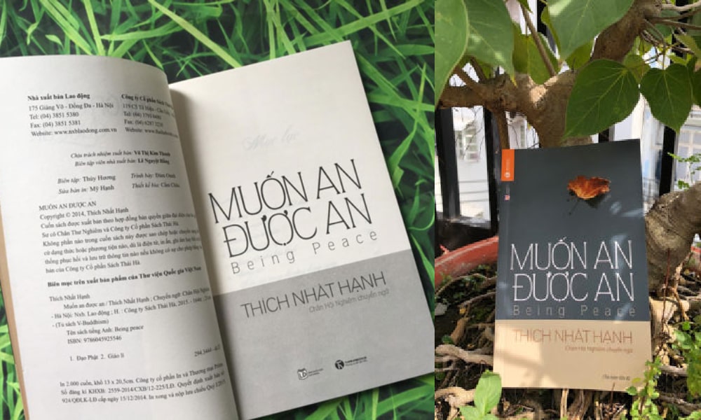 Sách - Muốn An Được An (Tái Bản)