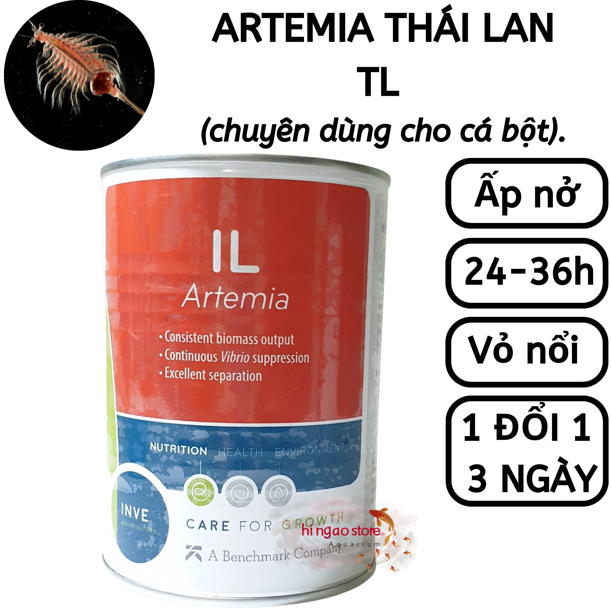 Thai Artemia il eggs with high rate (odd)-Caviar fish feed (5) | Hingaostore.