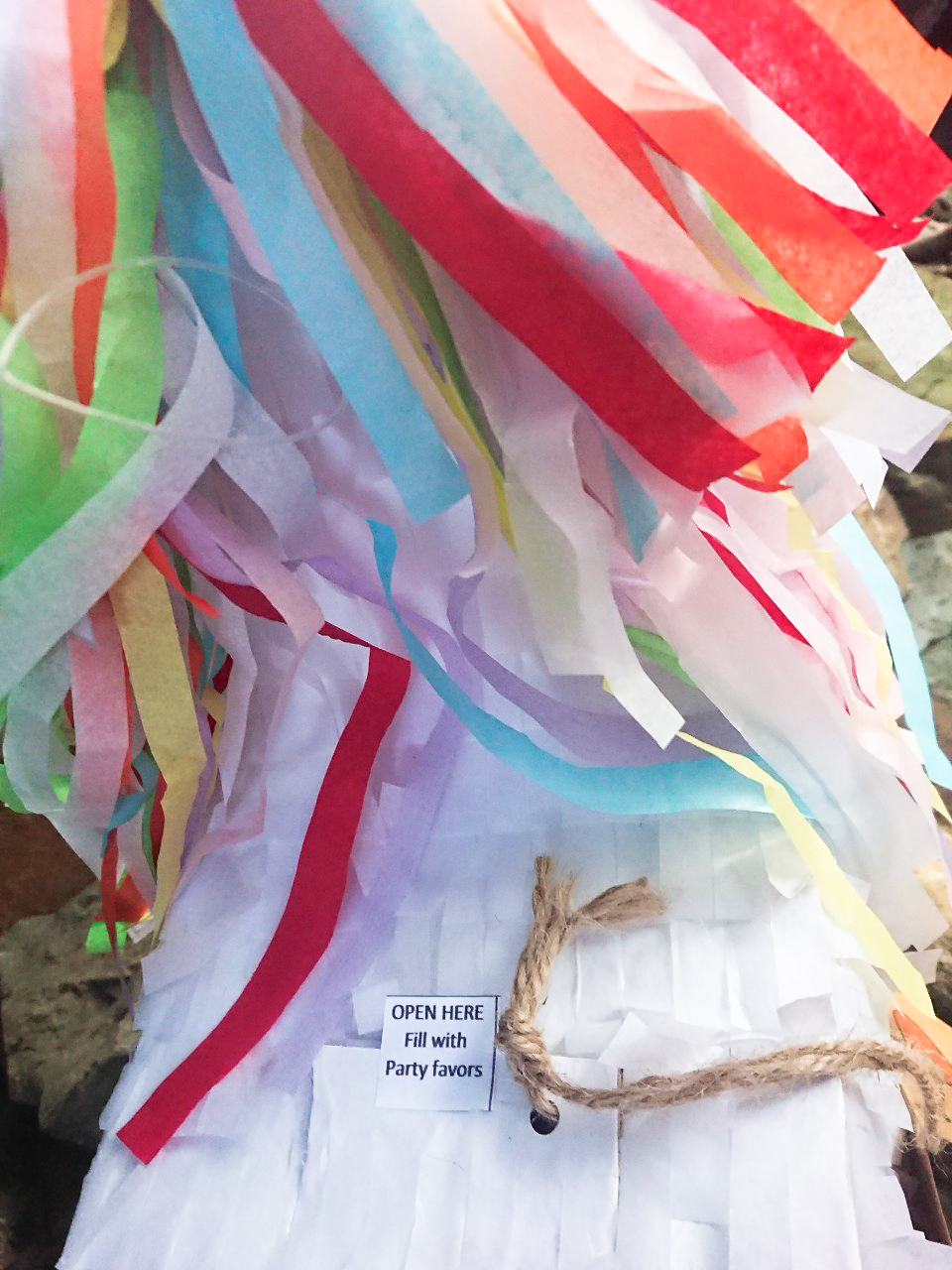 PINATA HORSE (không bao gồm kẹo và gậy đập)