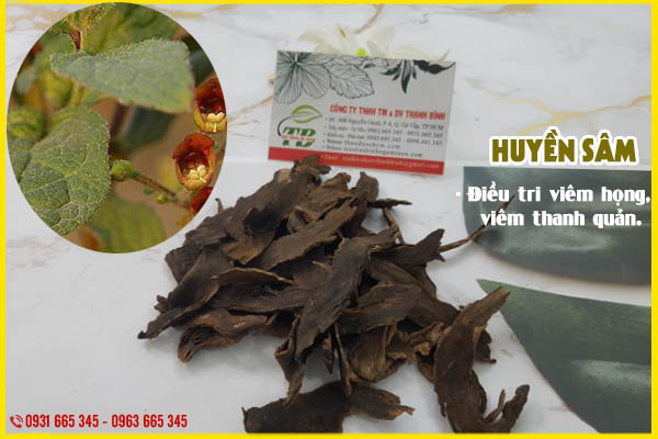 Huyền Sâm (Hắc sâm) 100g Khô  - Thảo Dược Thanh Bình