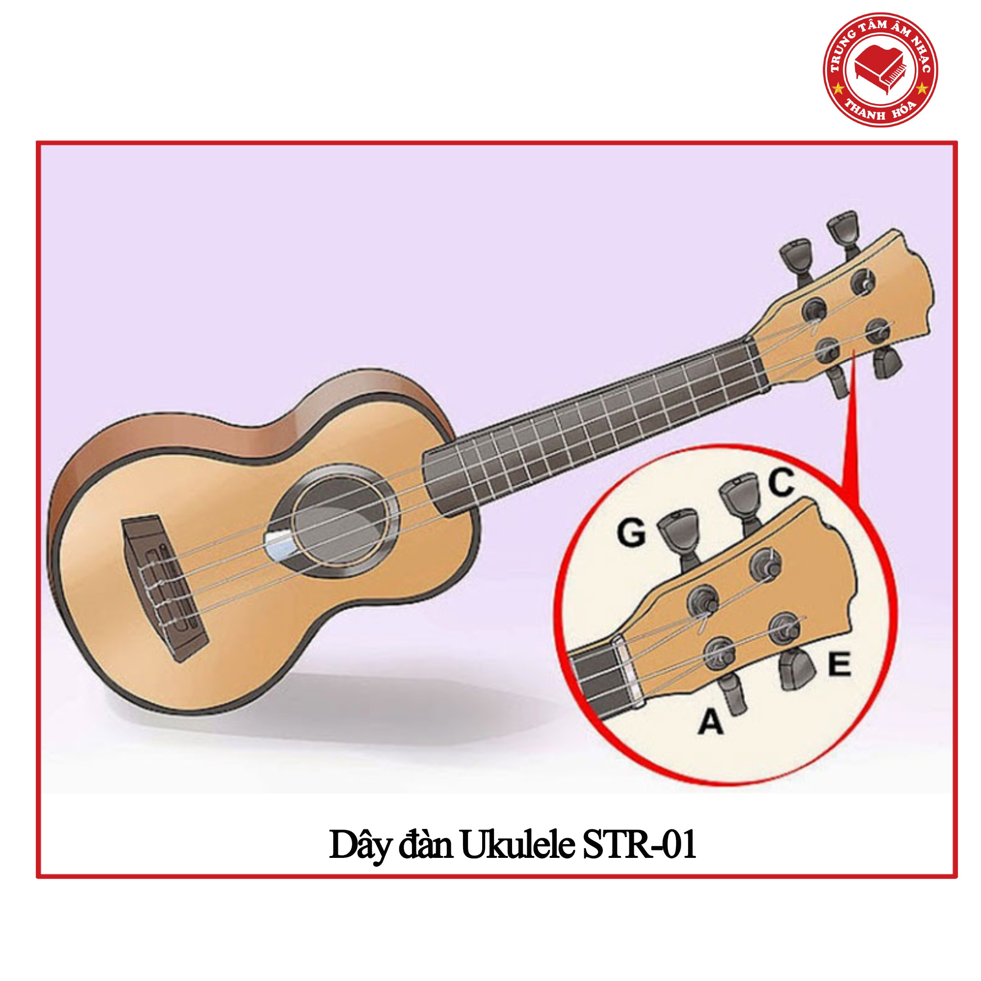 Bộ dây đàn ukulele - Hàng chất lượng bền - tiếng đàn hay