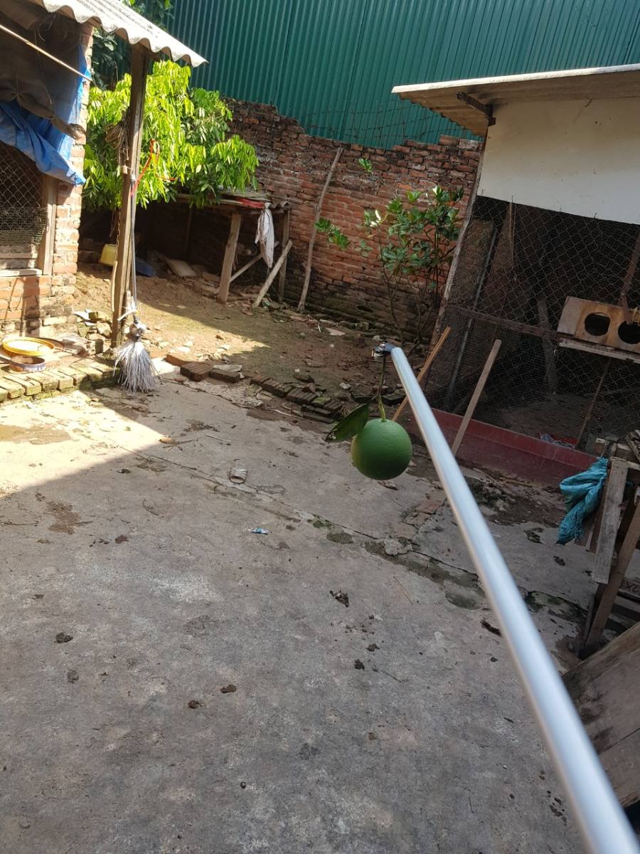 Kéo cắt cành trên cao 4 mét