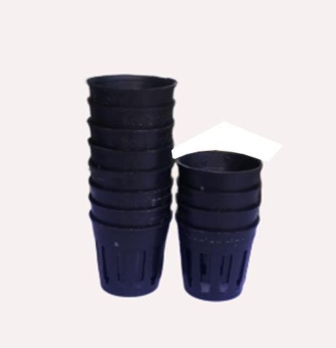 Chậu trồng lan cấy mô MUA 10 TẶNG 1 MIỄN PHÍ