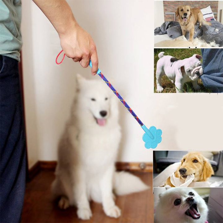 Gậy Tét Mông Huấn Luyện Chó Mèo