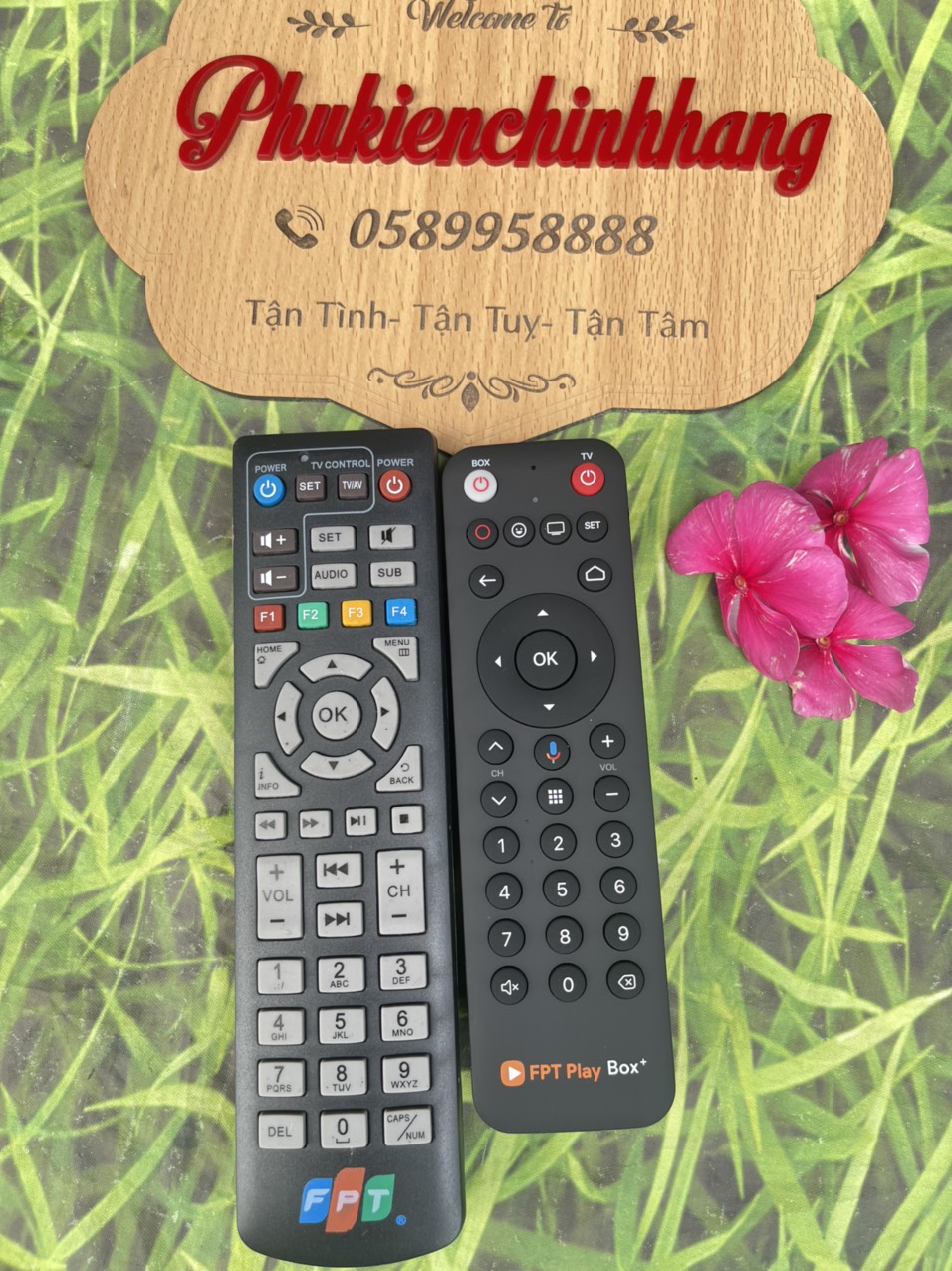 Remote đầu thu FPT( 2 mẫu)