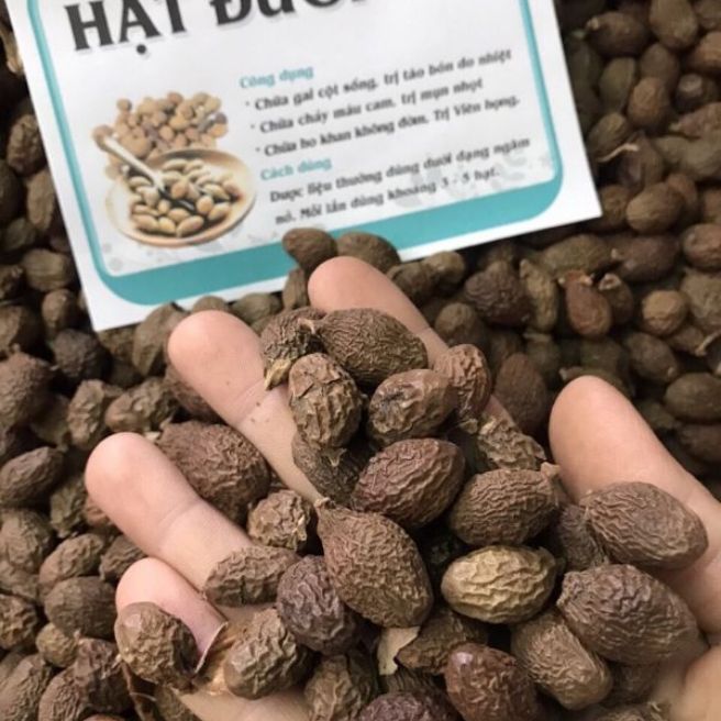 500g hạt đười ươi