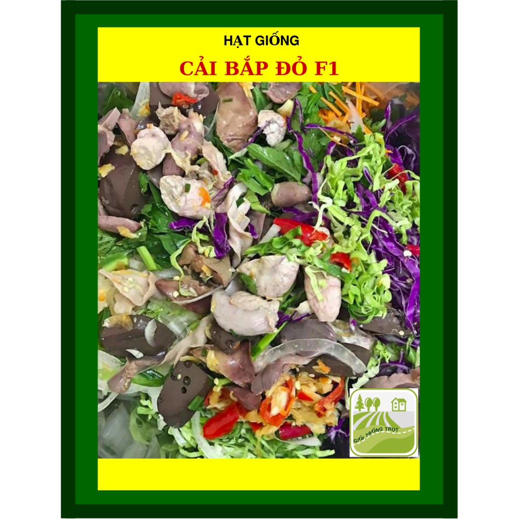 1G - Hạt Giống Cải Bắp Đỏ