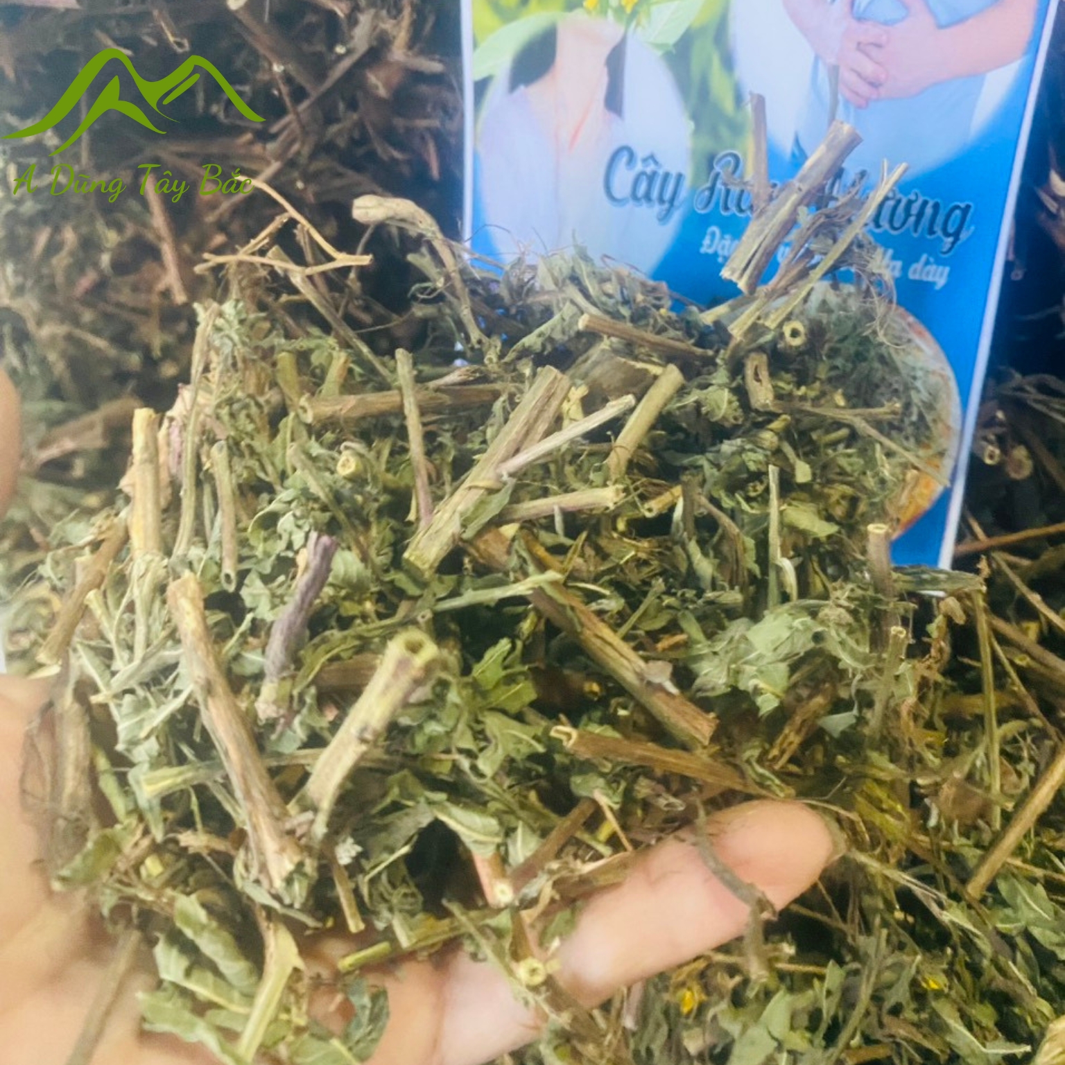 Cây rau mương khô loại 1 chữa dạ dày được thu hái, phơi khô từ rau cây mương rừng tươi