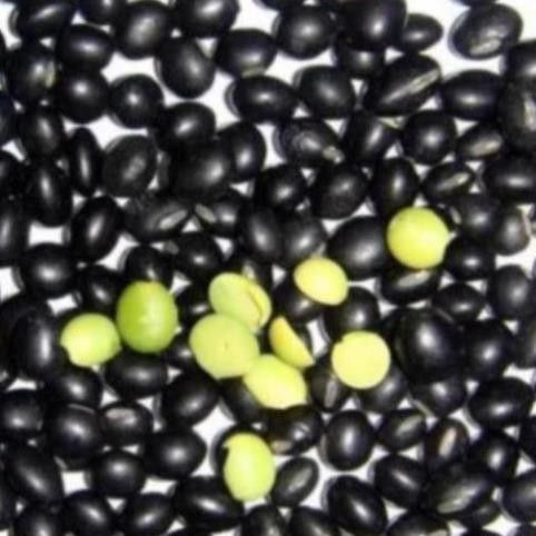 ĐẬU ĐEN LÒNG XANH (gói 500 gram)