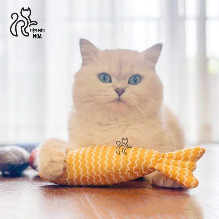 Cá bông có catnip - Đồ chơi cho mèo - Tiệm Mèo Moa