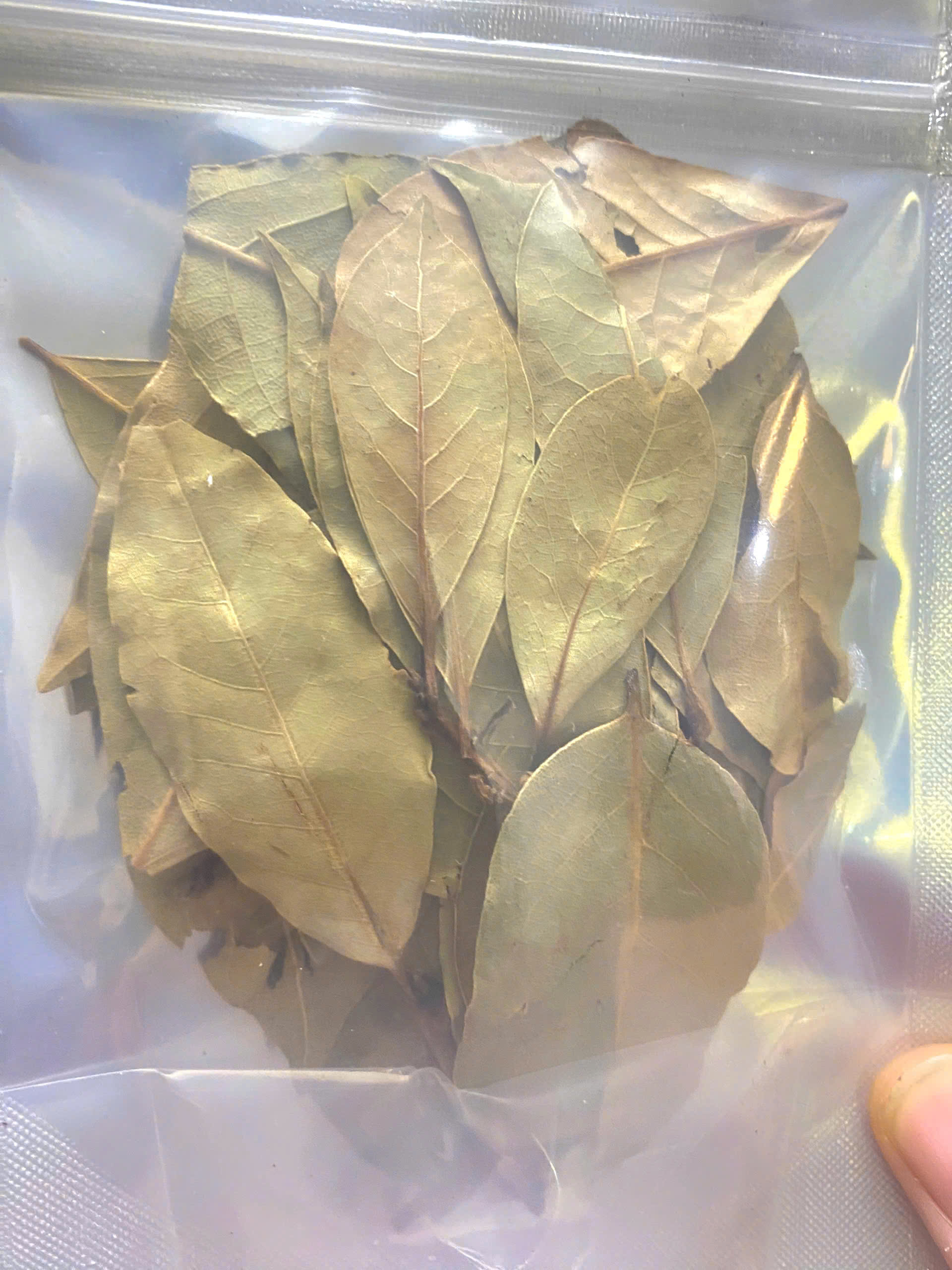 Lá nguyệt quế Khô (Lá Bay leaves) 20g_Monhi_Food