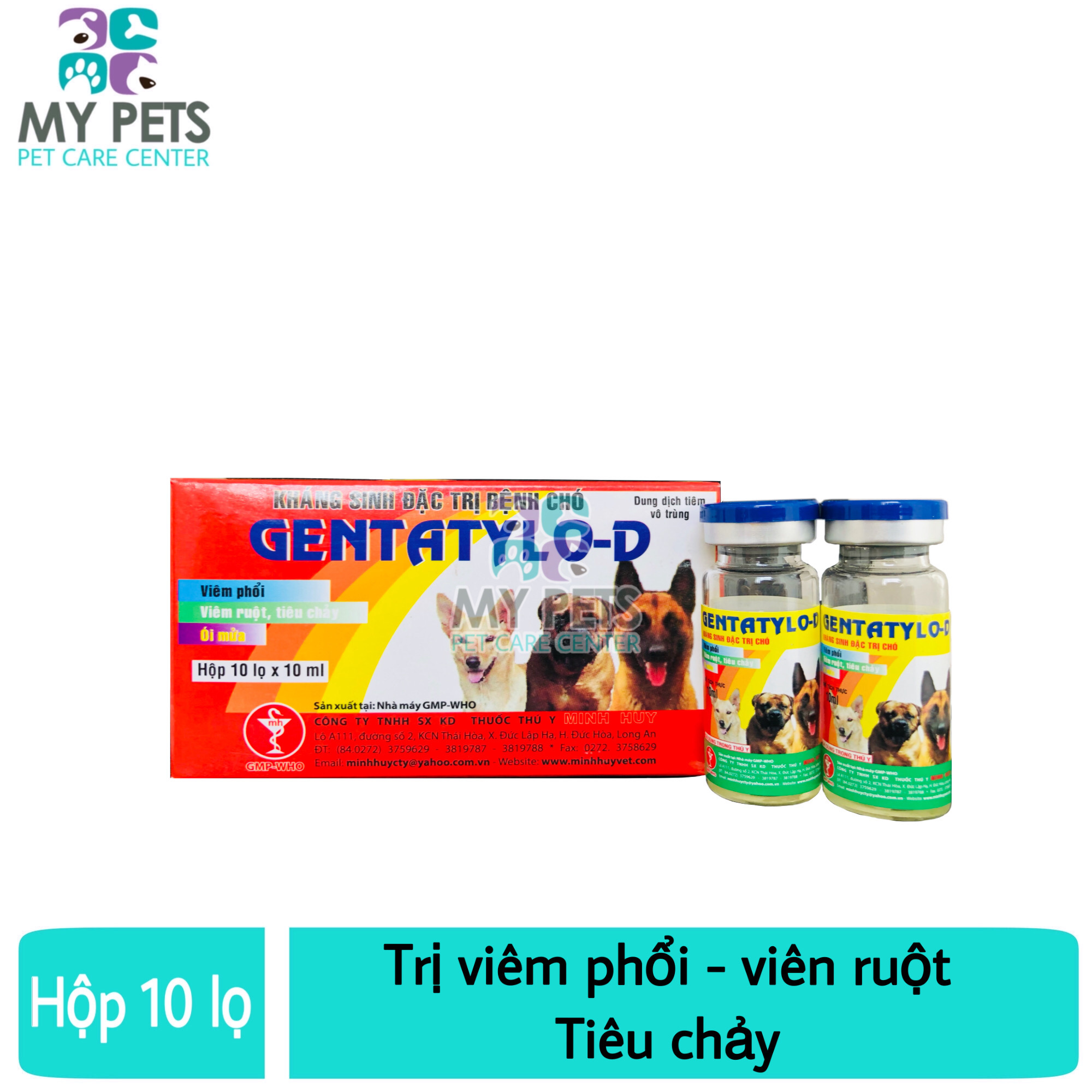 Thuốc tiêm trị viêm ruột tiêu chảy ói mửa viêm vú cho chó - Gentatylo-D hộp 10 lọ