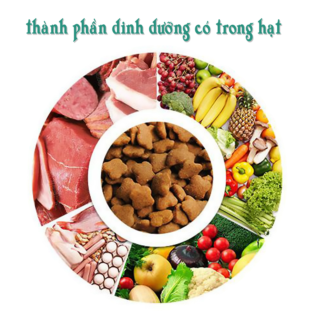 Thức ăn hạt cao cấp eweita cho chó Poodle