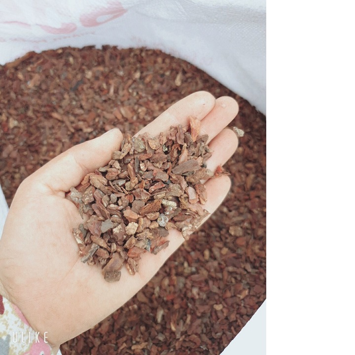 5kg VỎ THÔNG ĐỎ QUẢNG BÌNH ( #phanbon, #vattu, #caycanh)