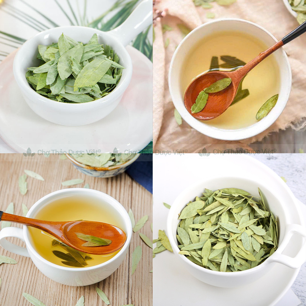 Phan Taa Diep 1kg, Dried Phan Taa Diep Leaves, Clean, Crumb-Free, Without Impurities - Viet Herbal Market