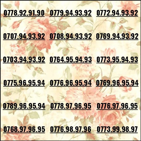 [HCM]Sim đẹp mobifone 3 số tiến dễ nhớ