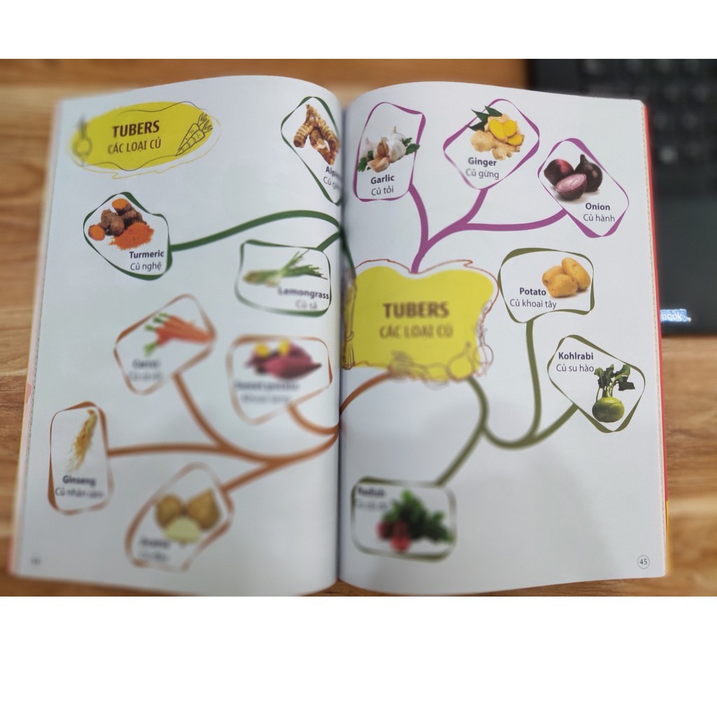 Mind Map 1200 Từ Vựng Tiếng Anh Cho Bé