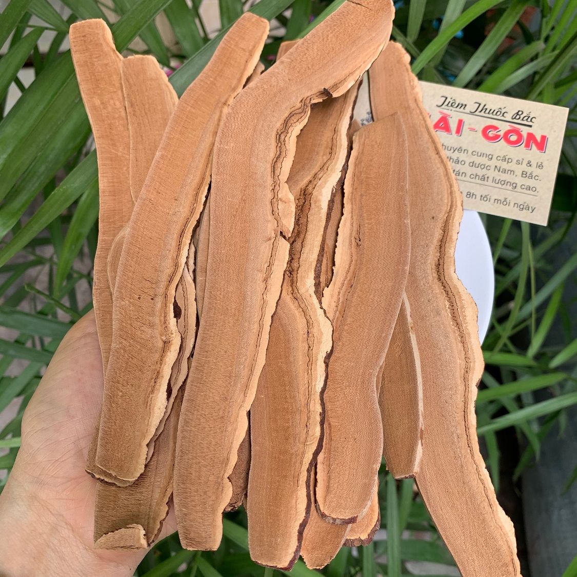 Nấm Linh Chi Hàn Quốc Thái Lát 1kg
