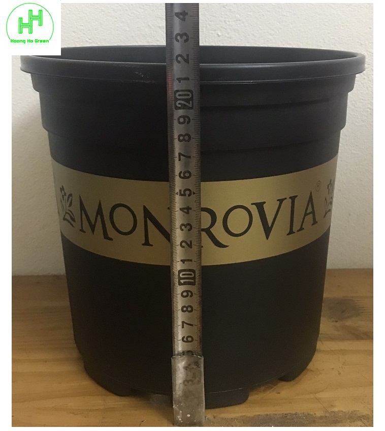 3 Chậu MONROVIA CH Garden 2Gal