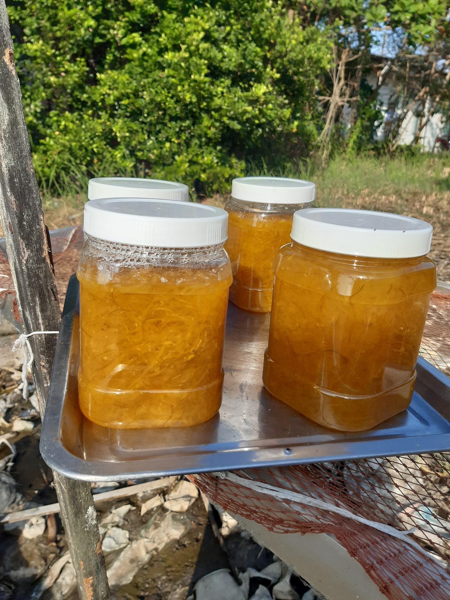 tắc xí muội nhà làm keo 1kg